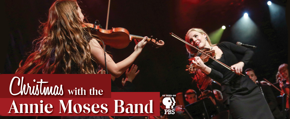 Annie Moses Band Info Page Header