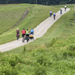 Pumpkinvine Nature Trail Bike Ride | Shipshewana, Indiana