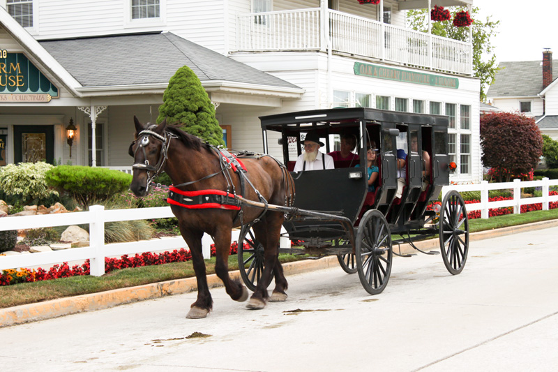 horse and buggy ride