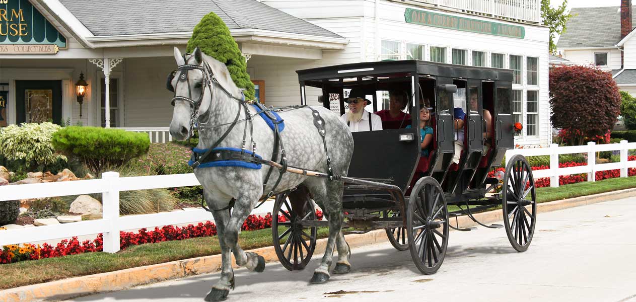 amish country horse and buggy ride