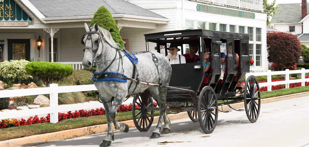 amish horse and buggy rides