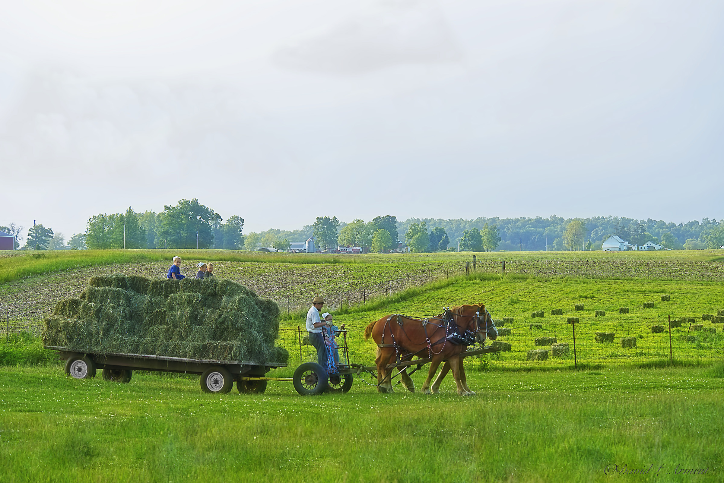 Itinerary for an Amazing Day in Amish Country, Shipshewana, Indiana