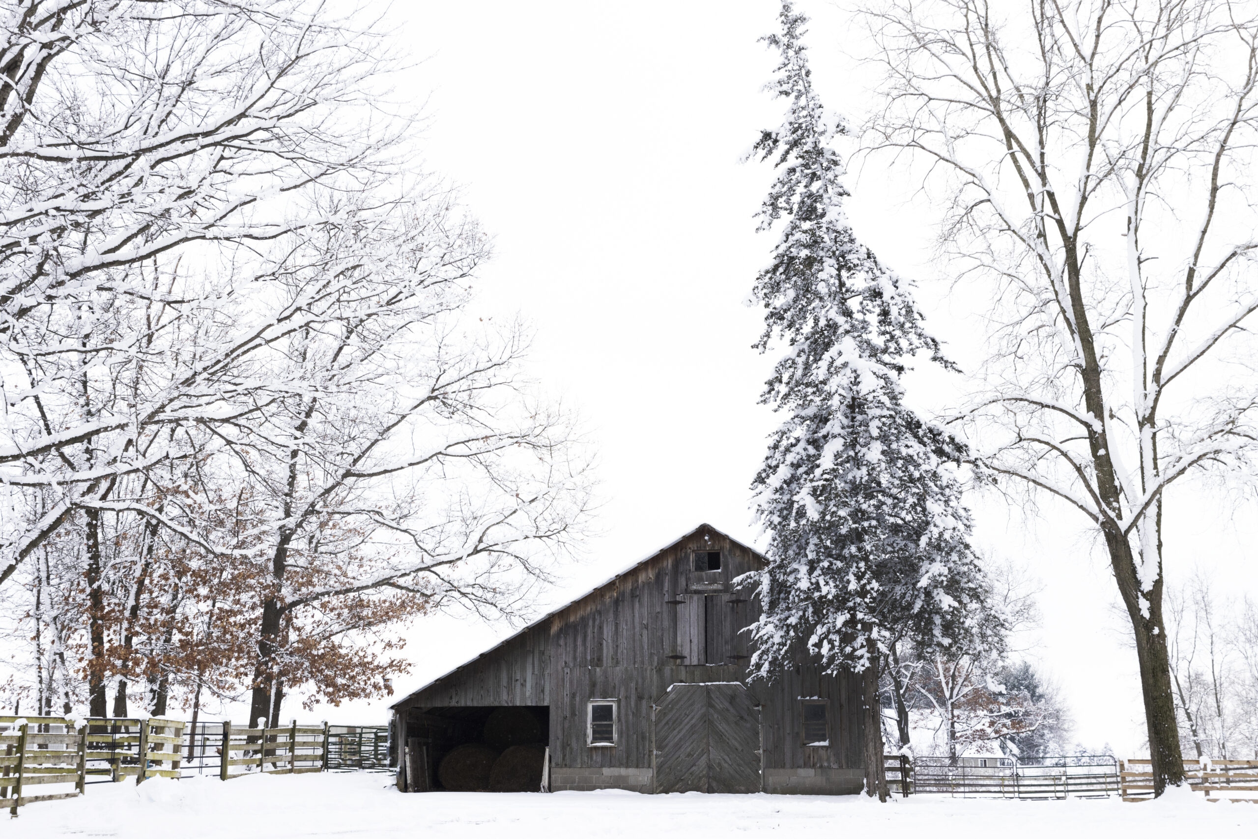 6 Things to do During Winter in Amish Country