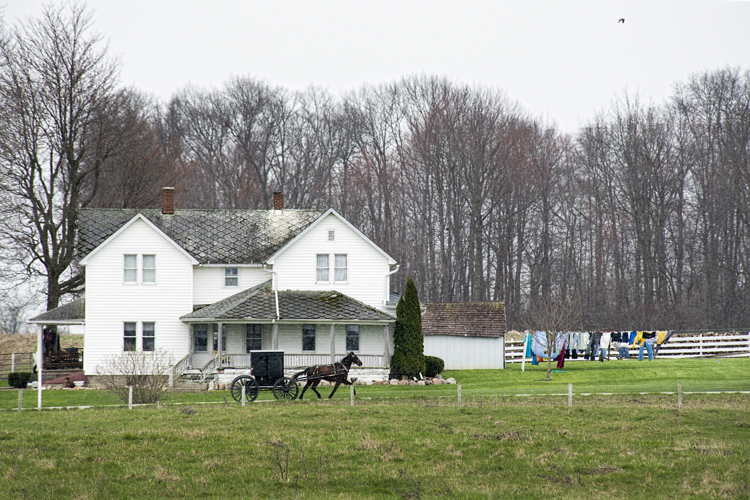 Common Courtesies When It Comes to the Shipshewana Amish Community