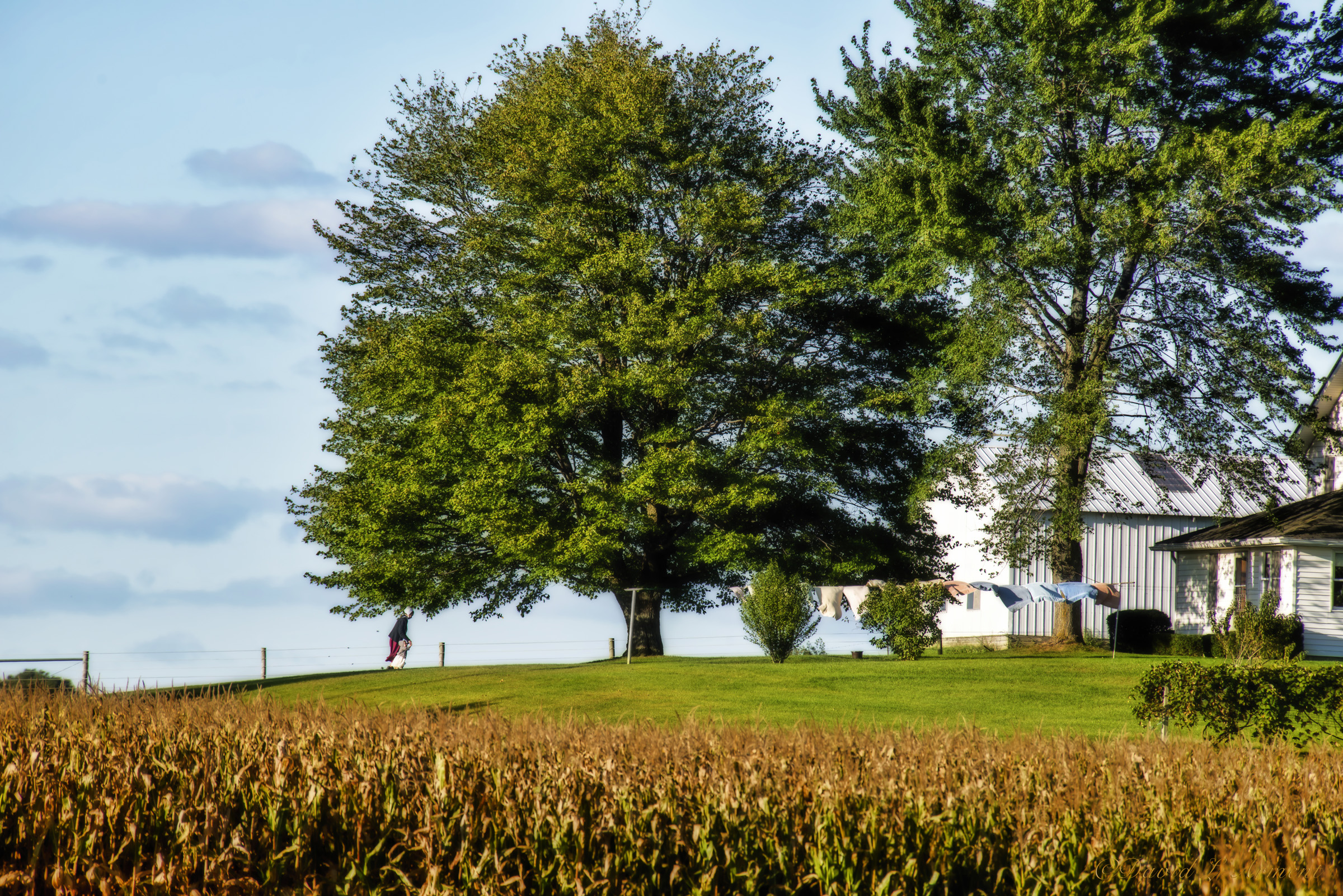 Thanksgiving in Beautiful Amish Country